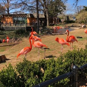 Meet your Posher, T.j.